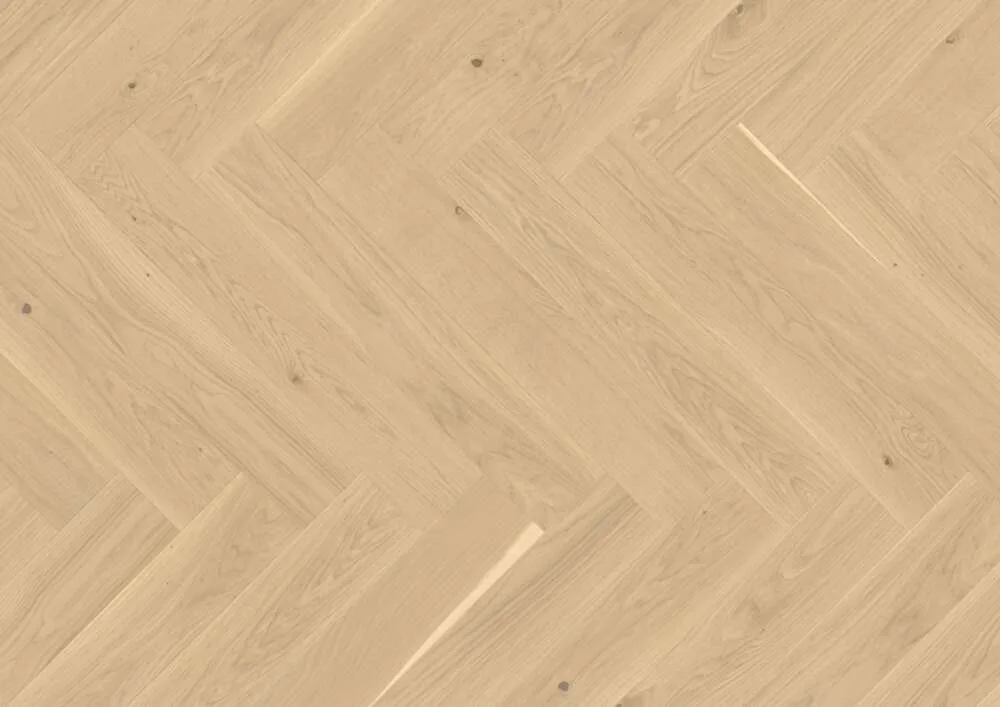 Vectorpark Eiche Farina — Zweilagiges Parkett