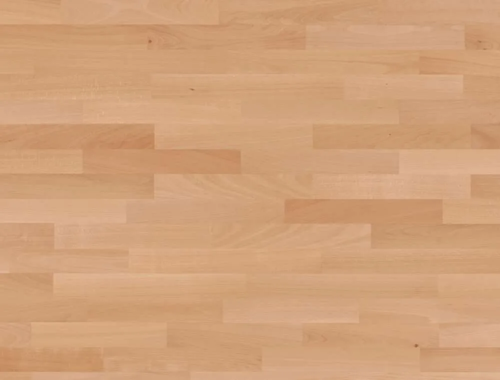 Beech steamed Nature