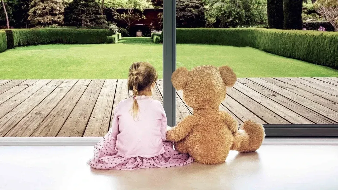 Plasă fixă — Insect Screens 4