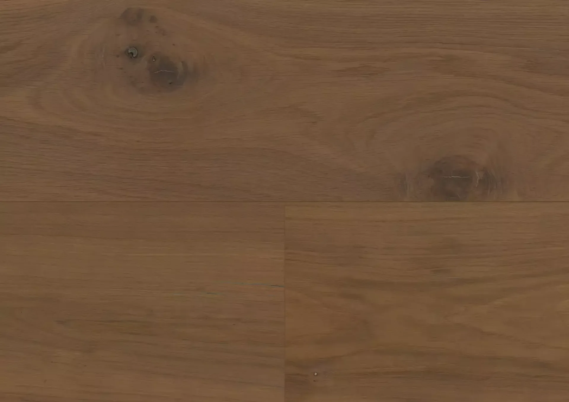 Hywood Stejar Connemara Classic — HyWood 2