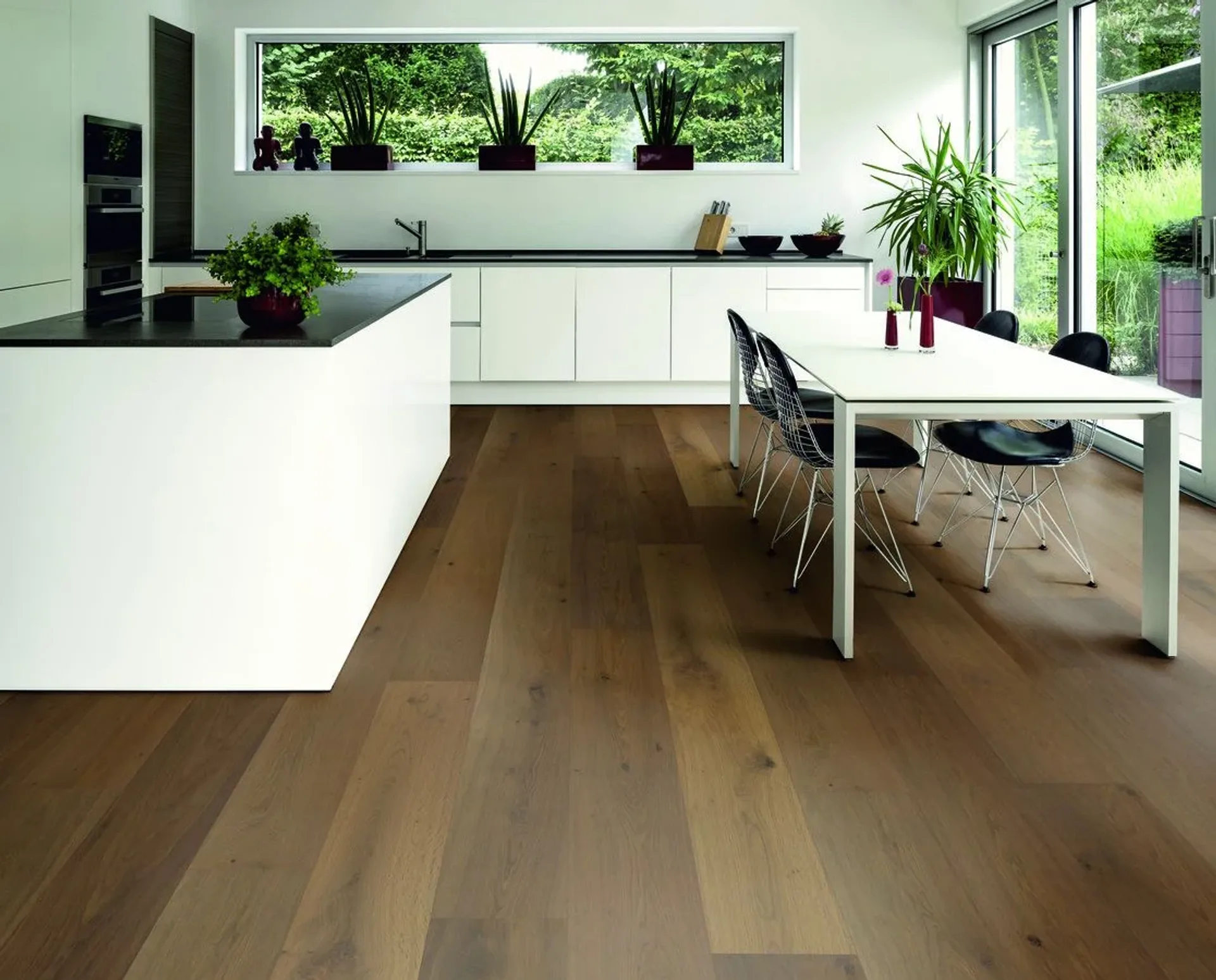 Hywood Stejar Connemara Noblesse — HyWood