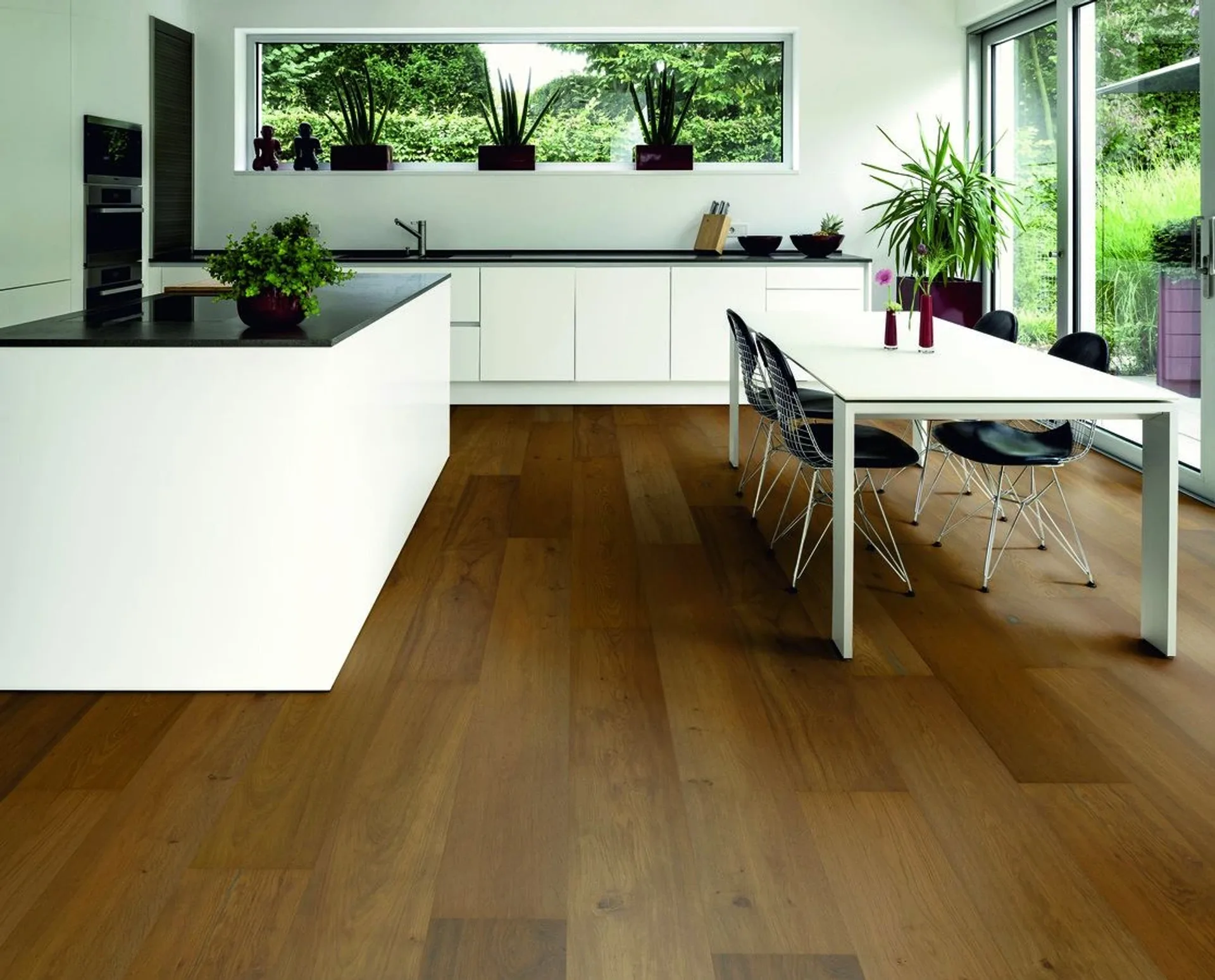 Hywood Stejar Dartmoor Noblesse — HyWood