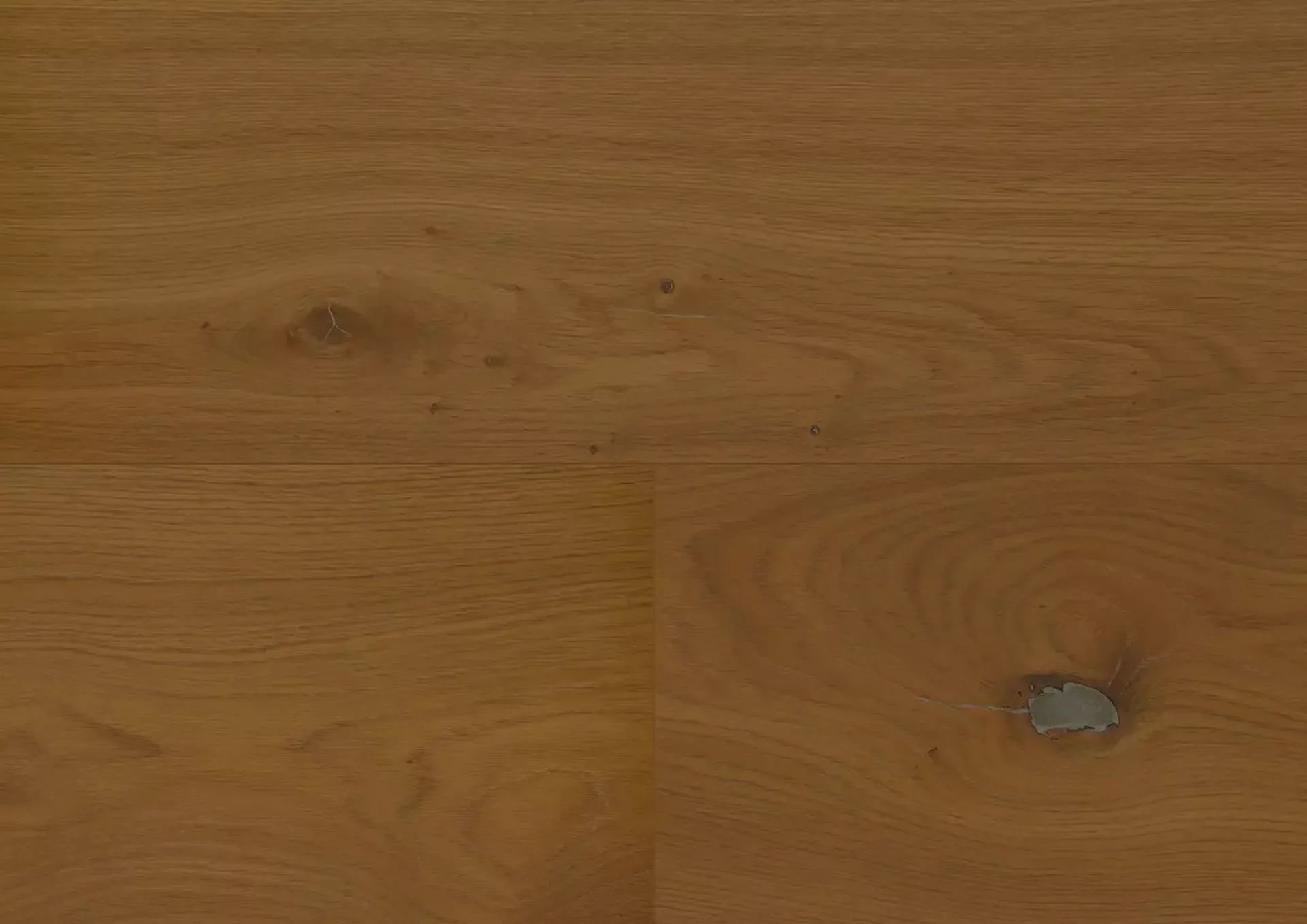 Hywood Stejar Dartmoor Noblesse — HyWood 2