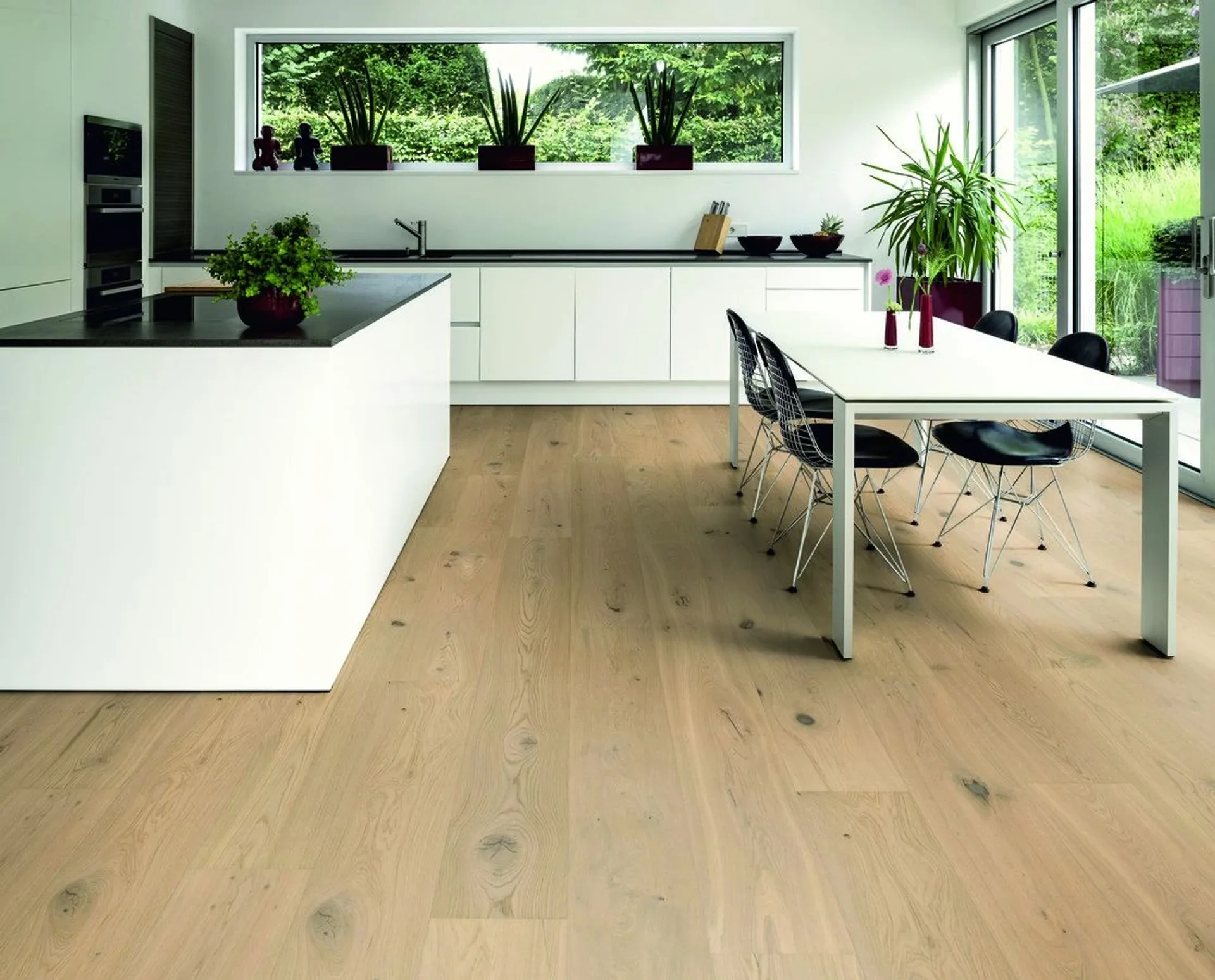 Hywood Stejar Dovre Noblesse — HyWood