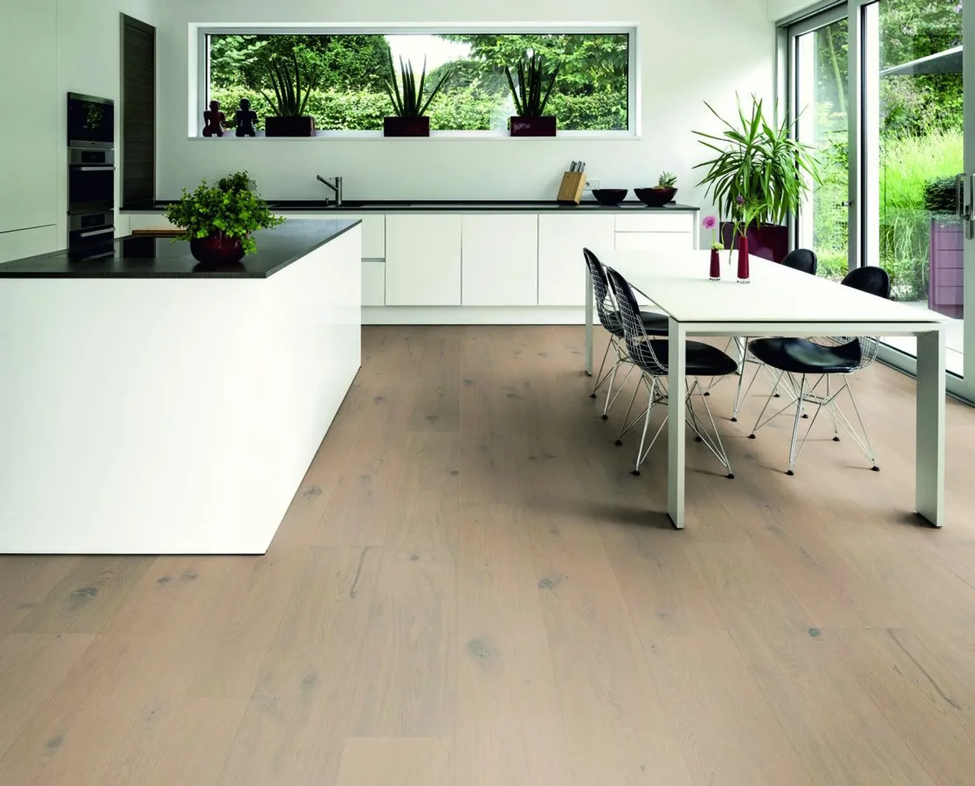 Hywood Stejar Hamra Noblesse — HyWood