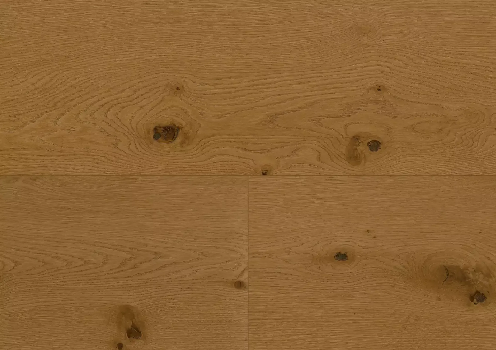 Hywood Stejar Iraty Classic — HyWood 2