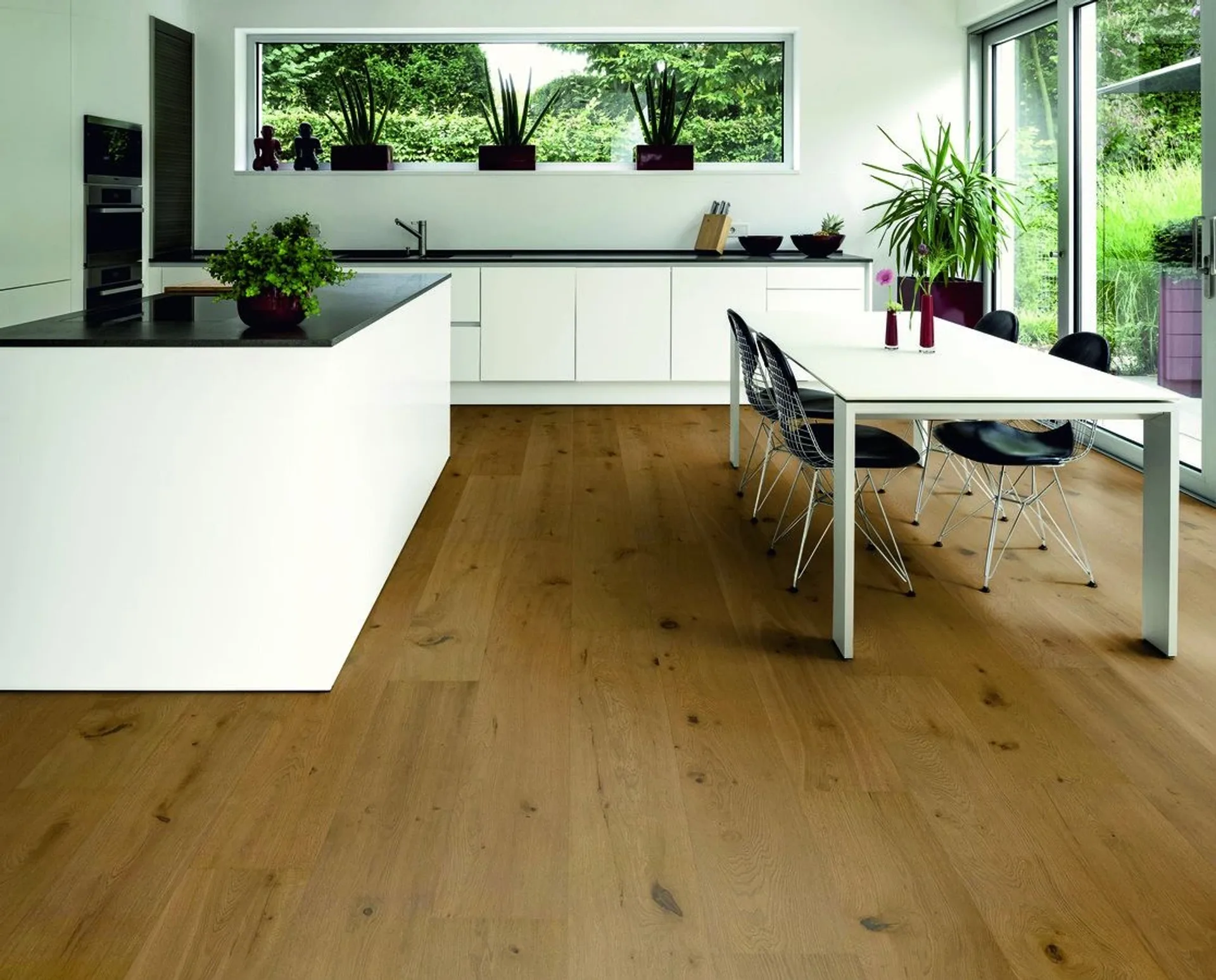 Hywood Stejar Iraty Noblesse — HyWood