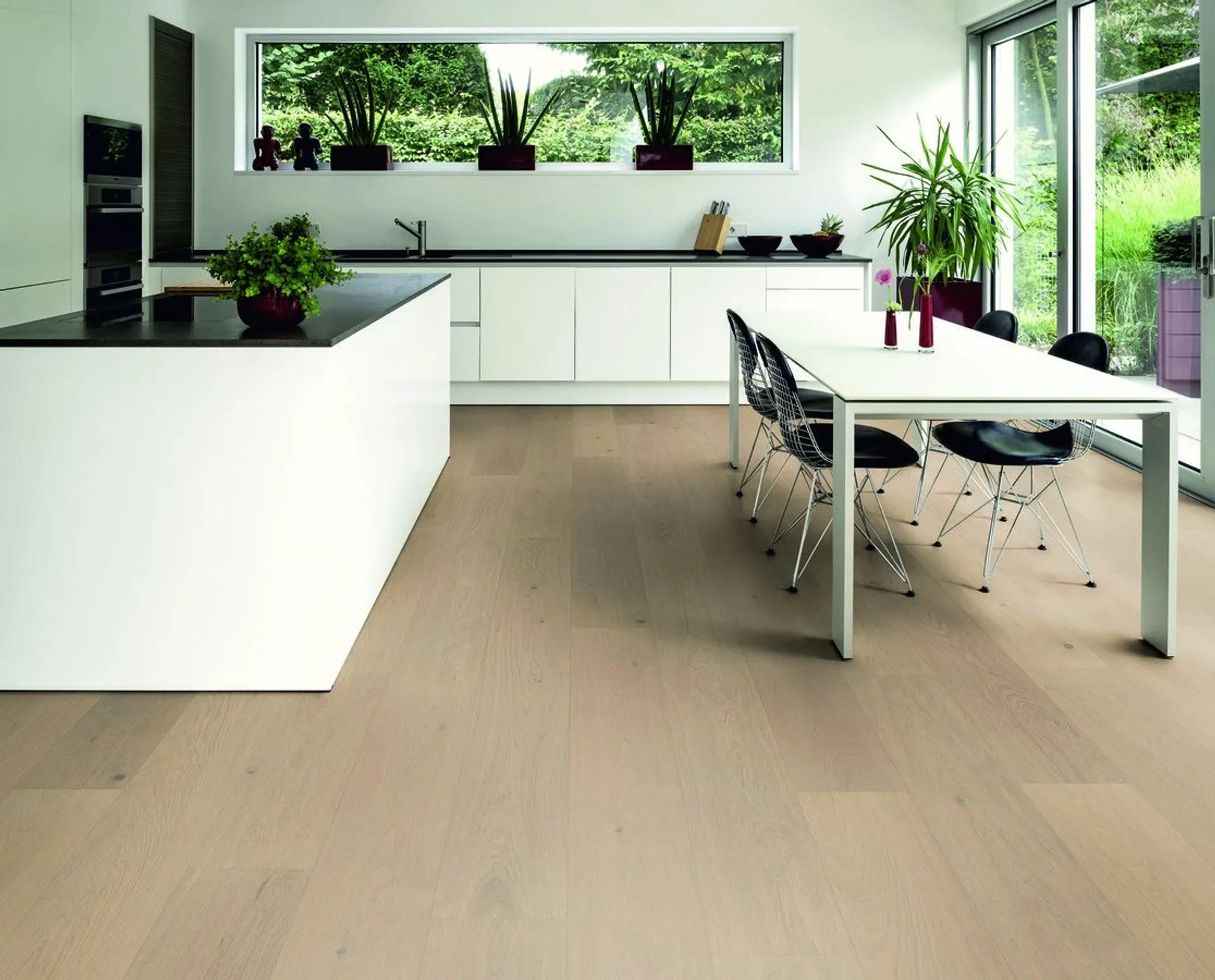 Hywood Stejar Junkerdal Noblesse — HyWood