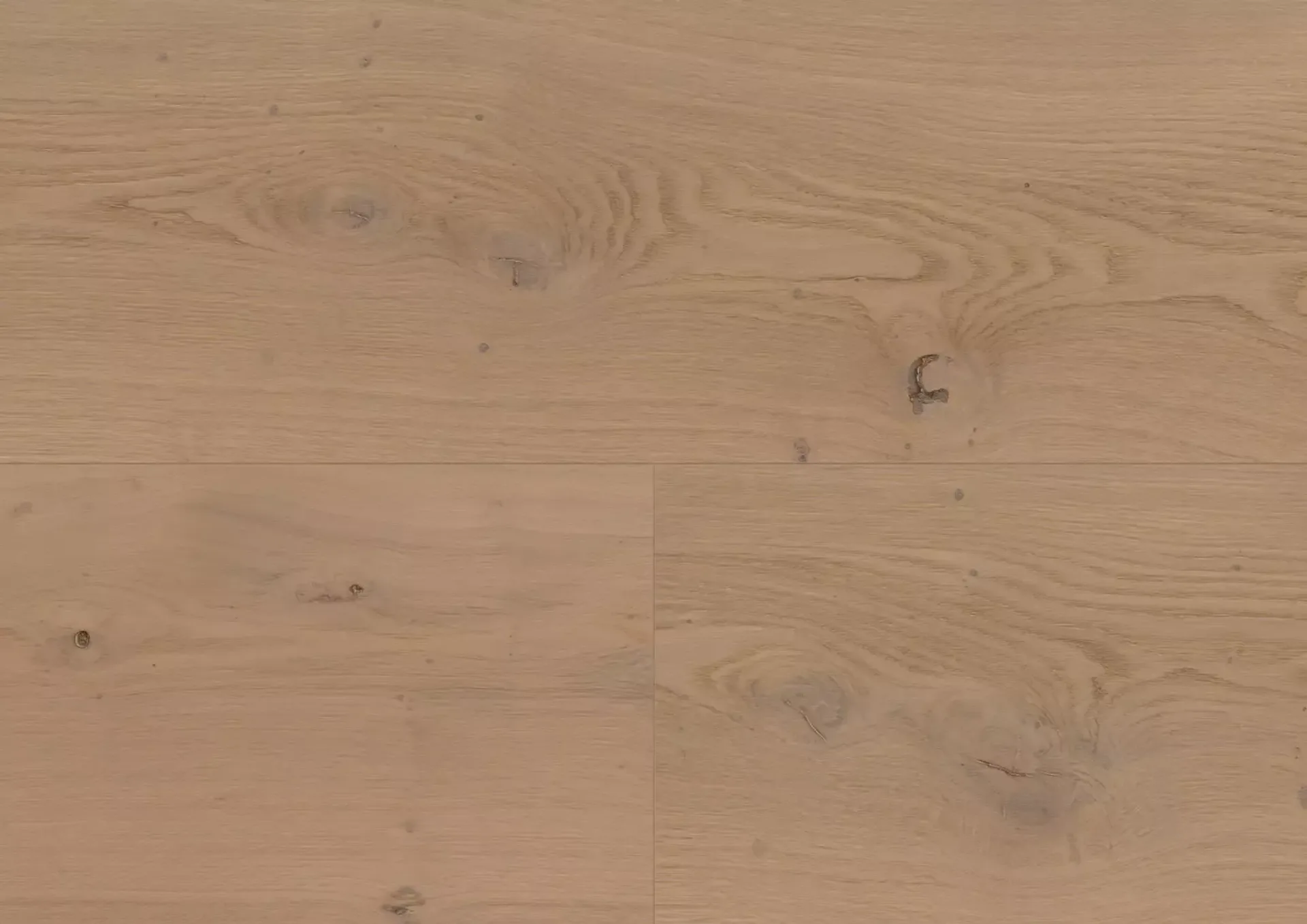 Hywood Stejar Nieuw Land Classic — HyWood 2