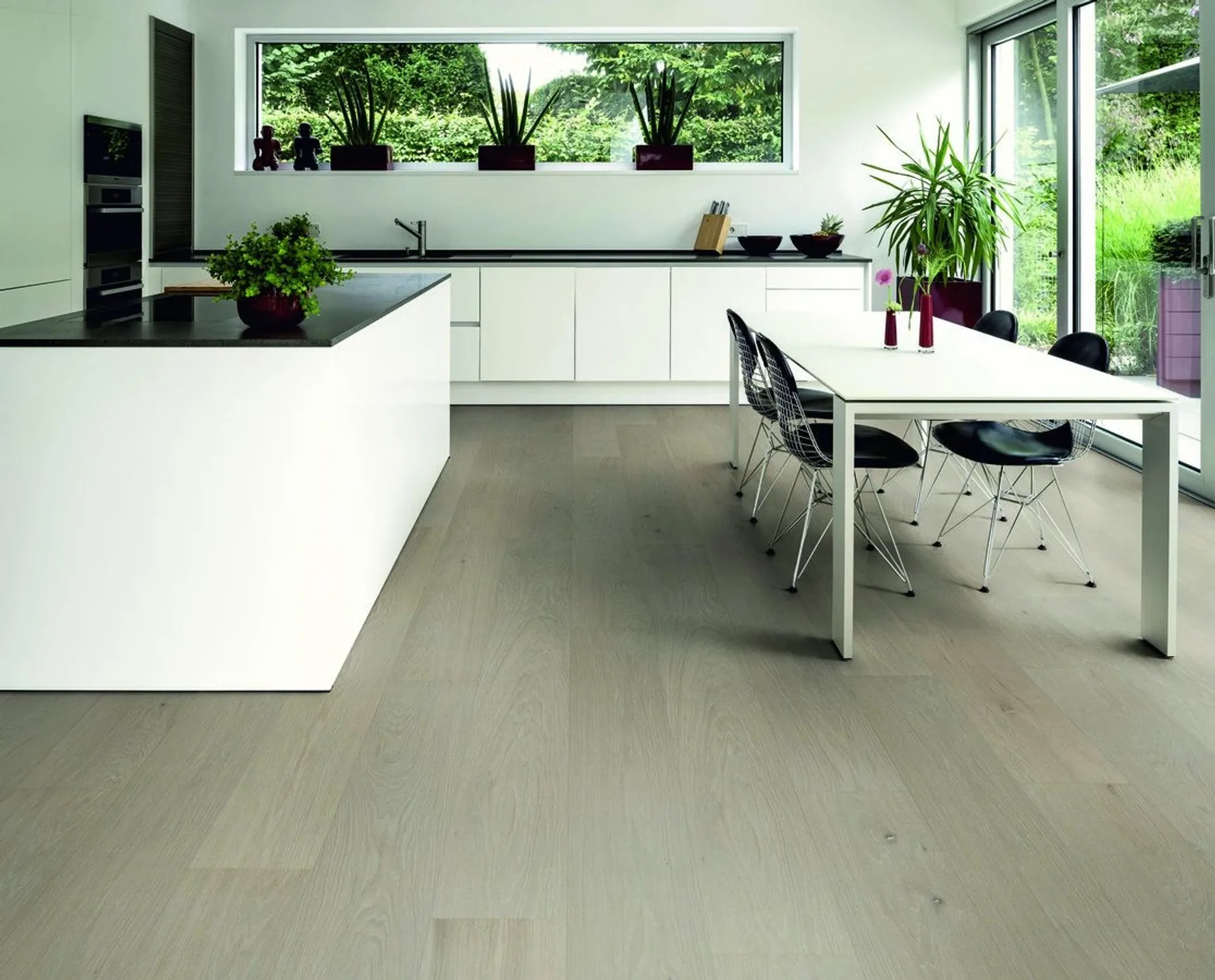 Hywood Stejar Ordesa Noblesse — HyWood