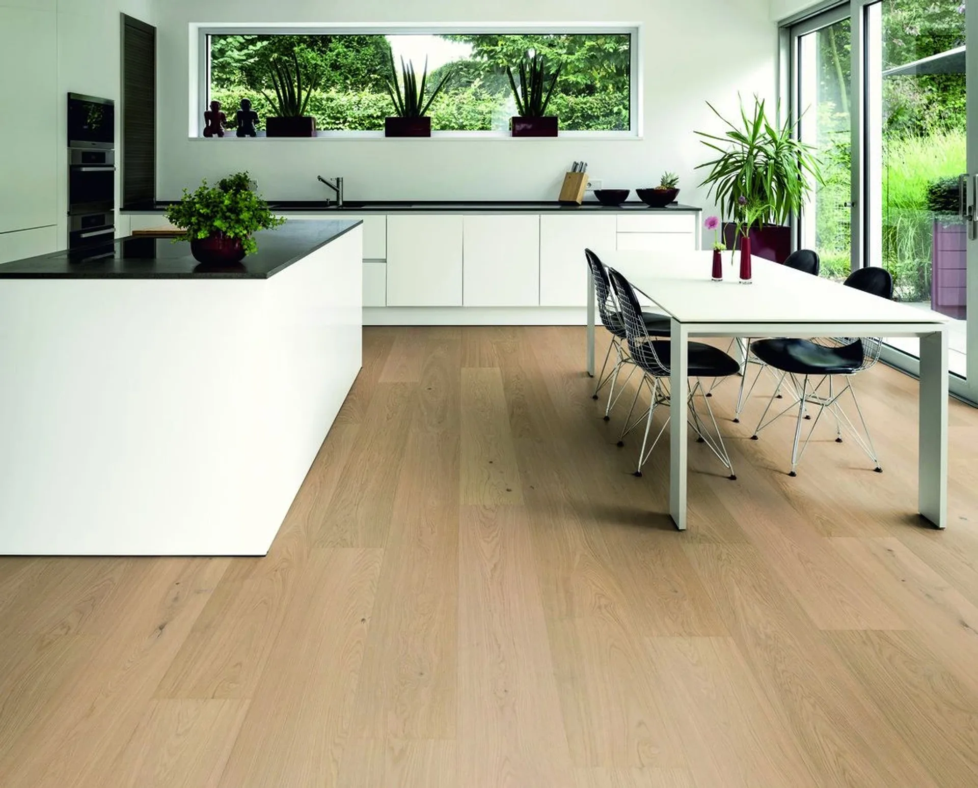 Hywood Stejar Oulanka Noblesse — HyWood