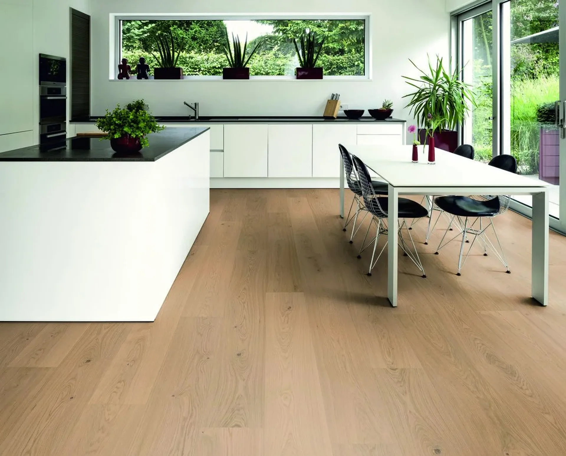 Hywood Stejar Pirin Noblesse — HyWood