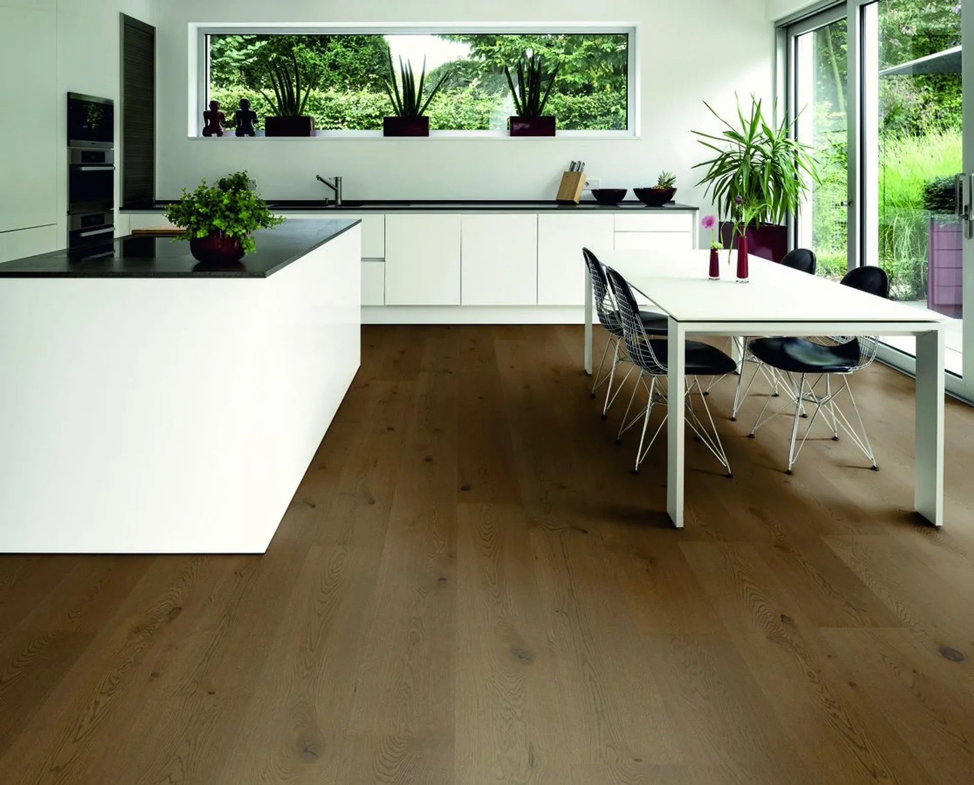 Hywood Stejar Reivo Noblesse — HyWood