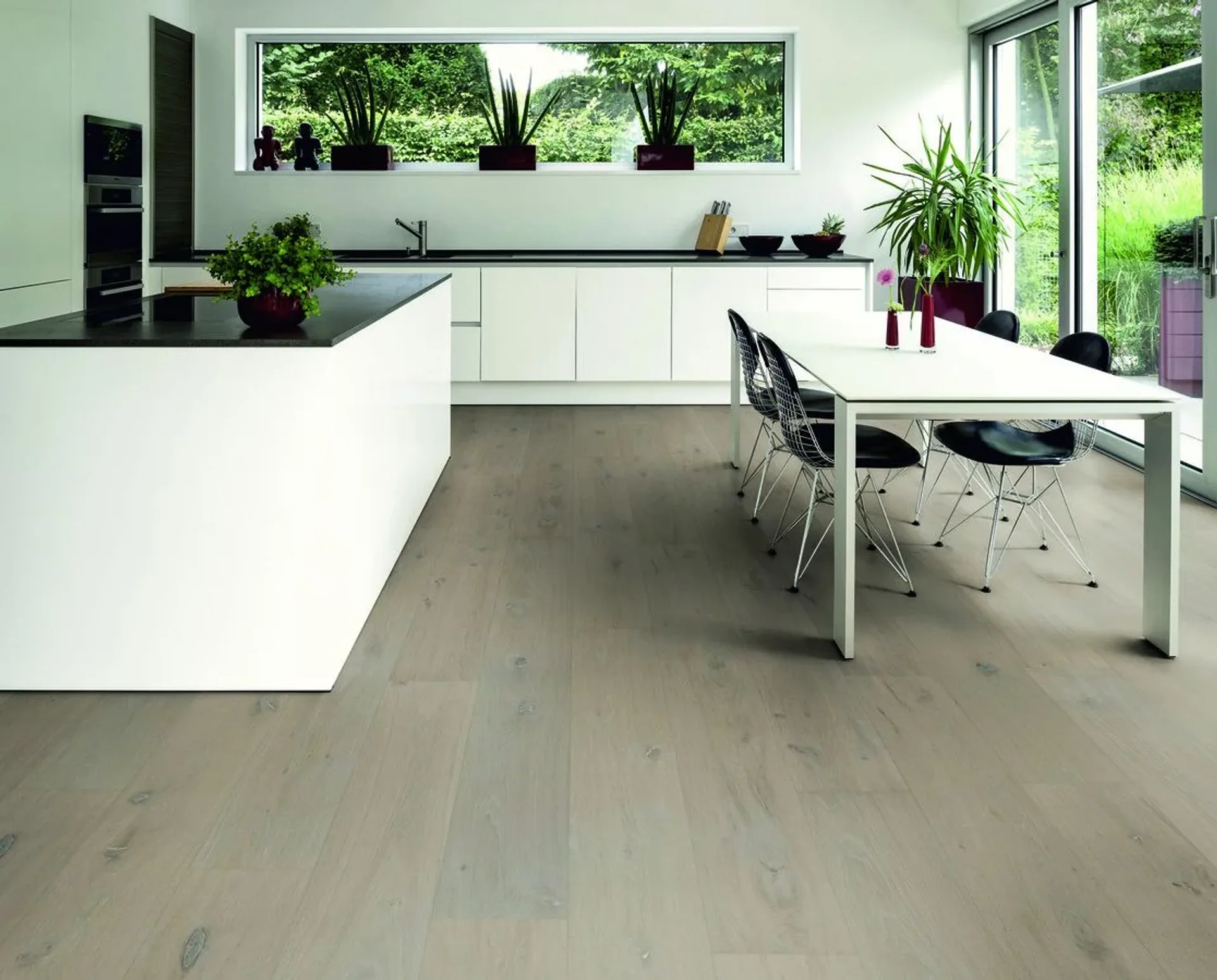 Hywood Stejar Sherwood Forest Noblesse — HyWood