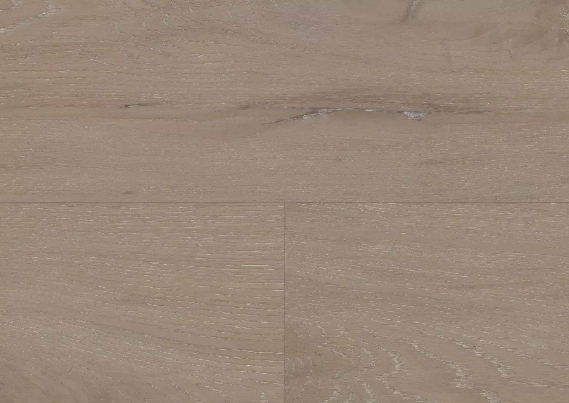 Hywood Stejar Sherwood Forest Noblesse — HyWood 2