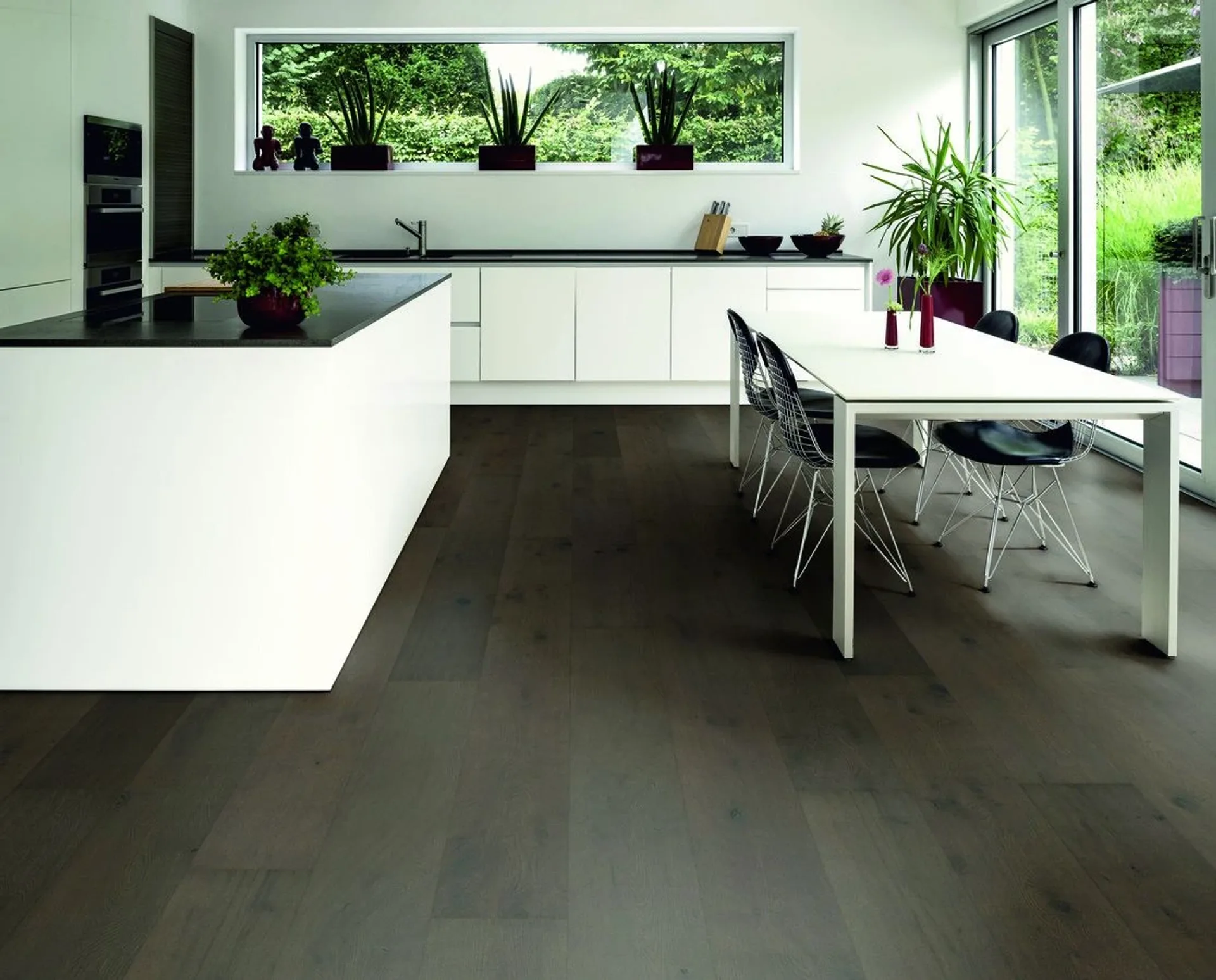 Hywood Stejar Sumava Noblesse — HyWood