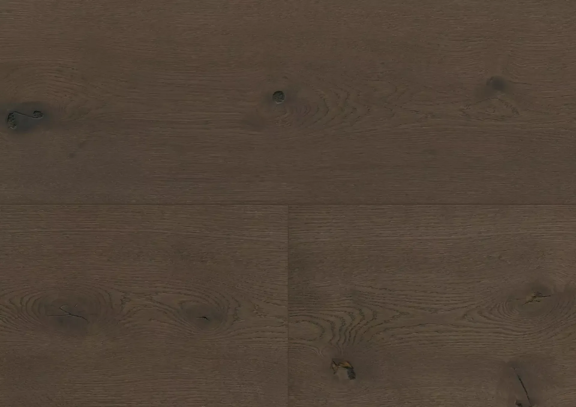 Hywood Stejar Sumava Noblesse — HyWood 2