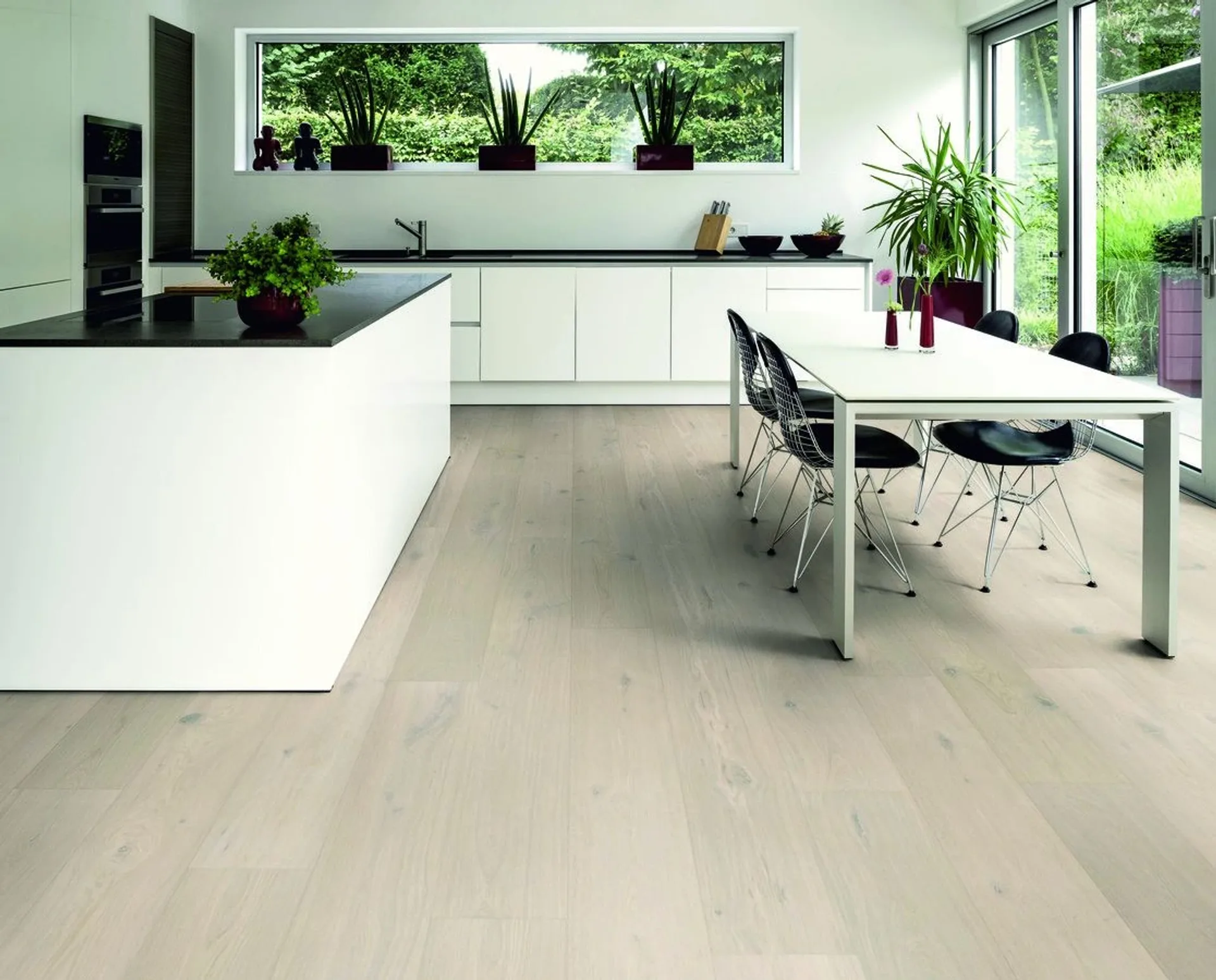 Hywood Stejar Val Grande Noblesse — HyWood