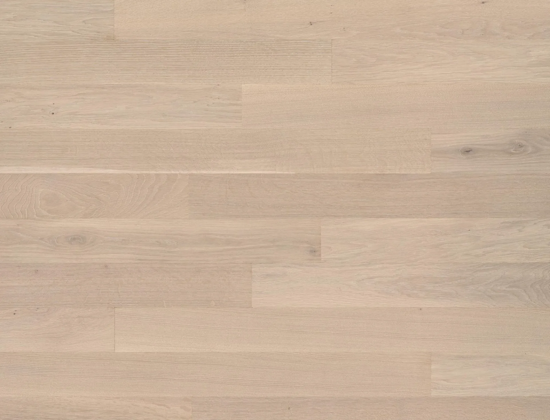Cleverpark 1250 Oak Farina