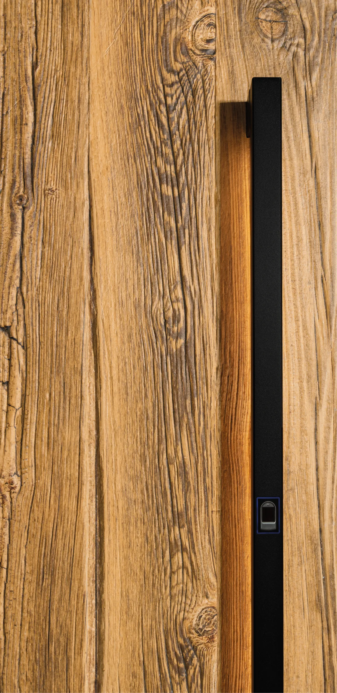 Aluminium exterior door L700 — Aluminium 4