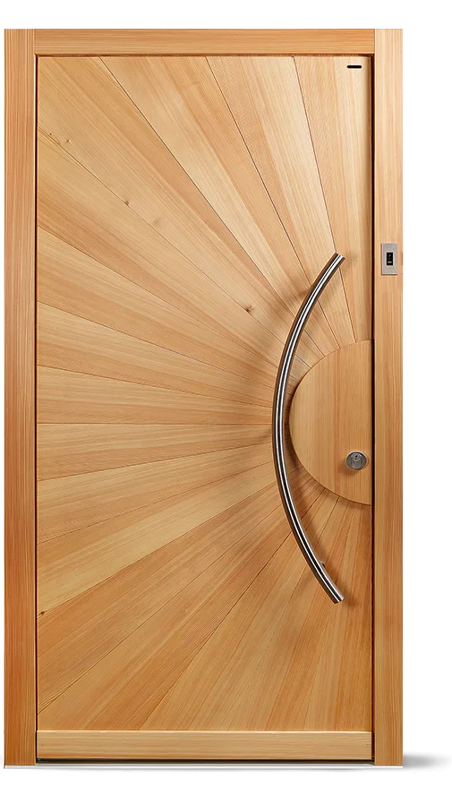 Ușă de exterior Alkogel — Lemn 2