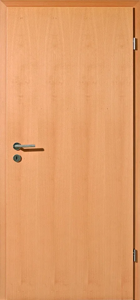 glatte tuer buche markant freisteller 1