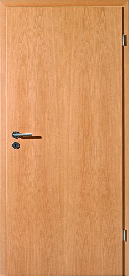 glatte tuer buche natur freisteller