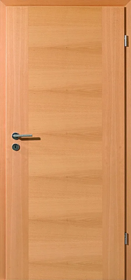 quirin 1 buche natur freisteller