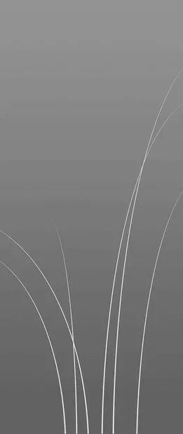 csm G660xxxxxx 99 f812a278a0