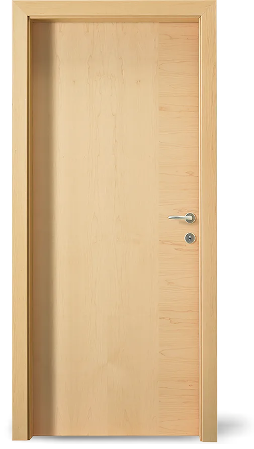 Ușă de interior Zitrin GS — Furnir 2